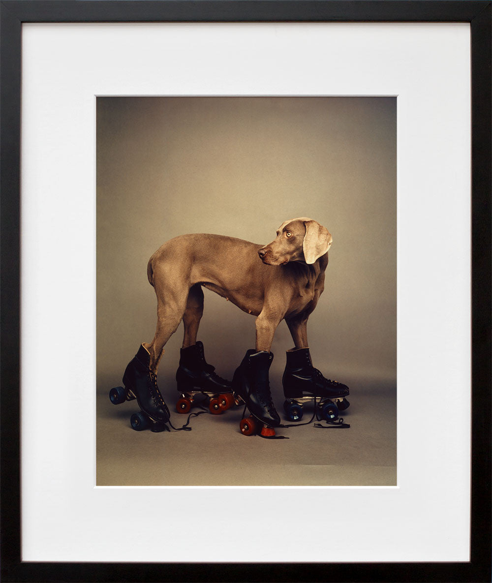 William wegman hot sale fay ray