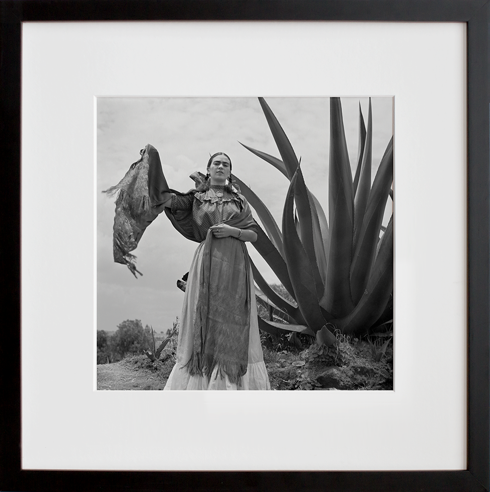 Frida Kahlo standing next to an agave plant in a black frame