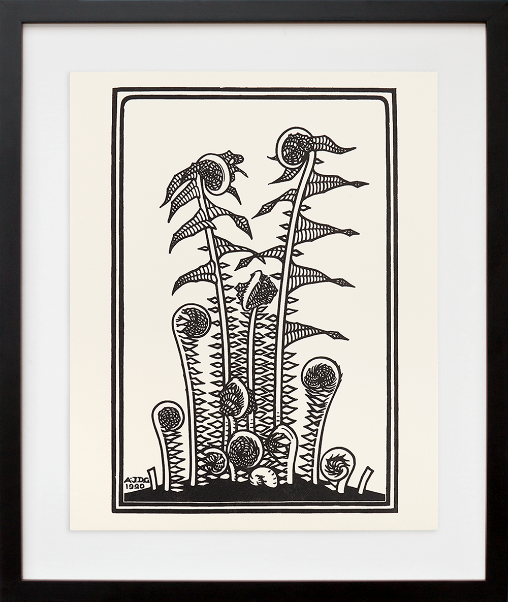 Julie de Graag's Ferns | 20x200