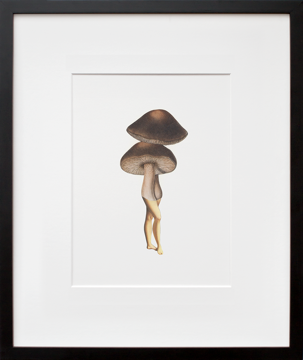 Lady-shroom in a black frame
