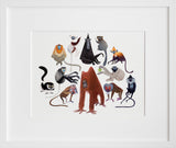 Primates
