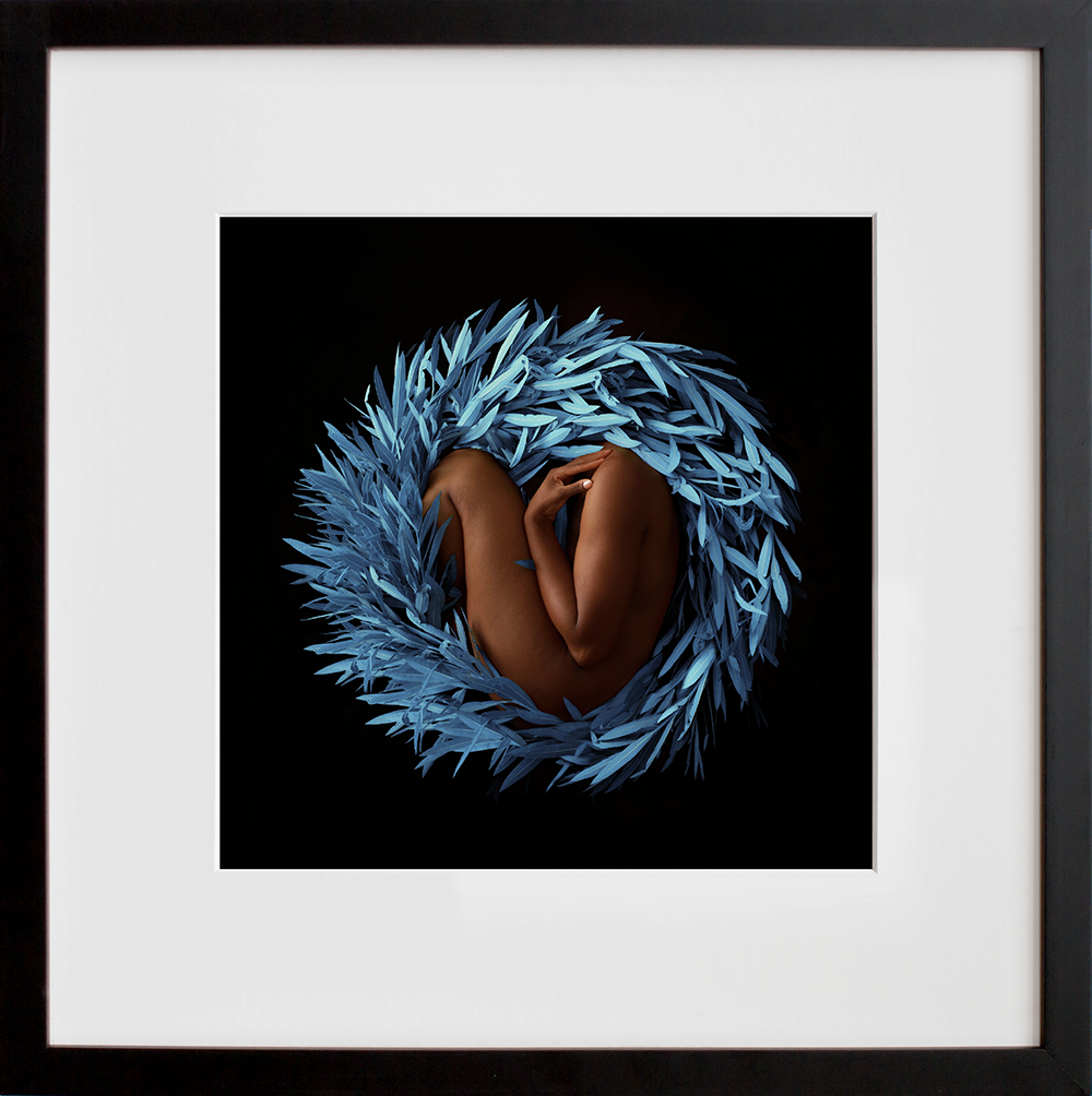 Enduring the cold winter in a black frame