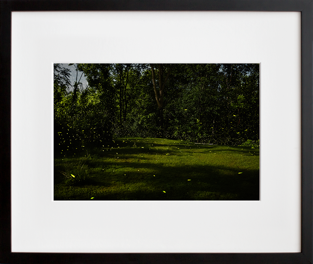 My backyard, Tivoli, NY 7/10/14 in a black frame