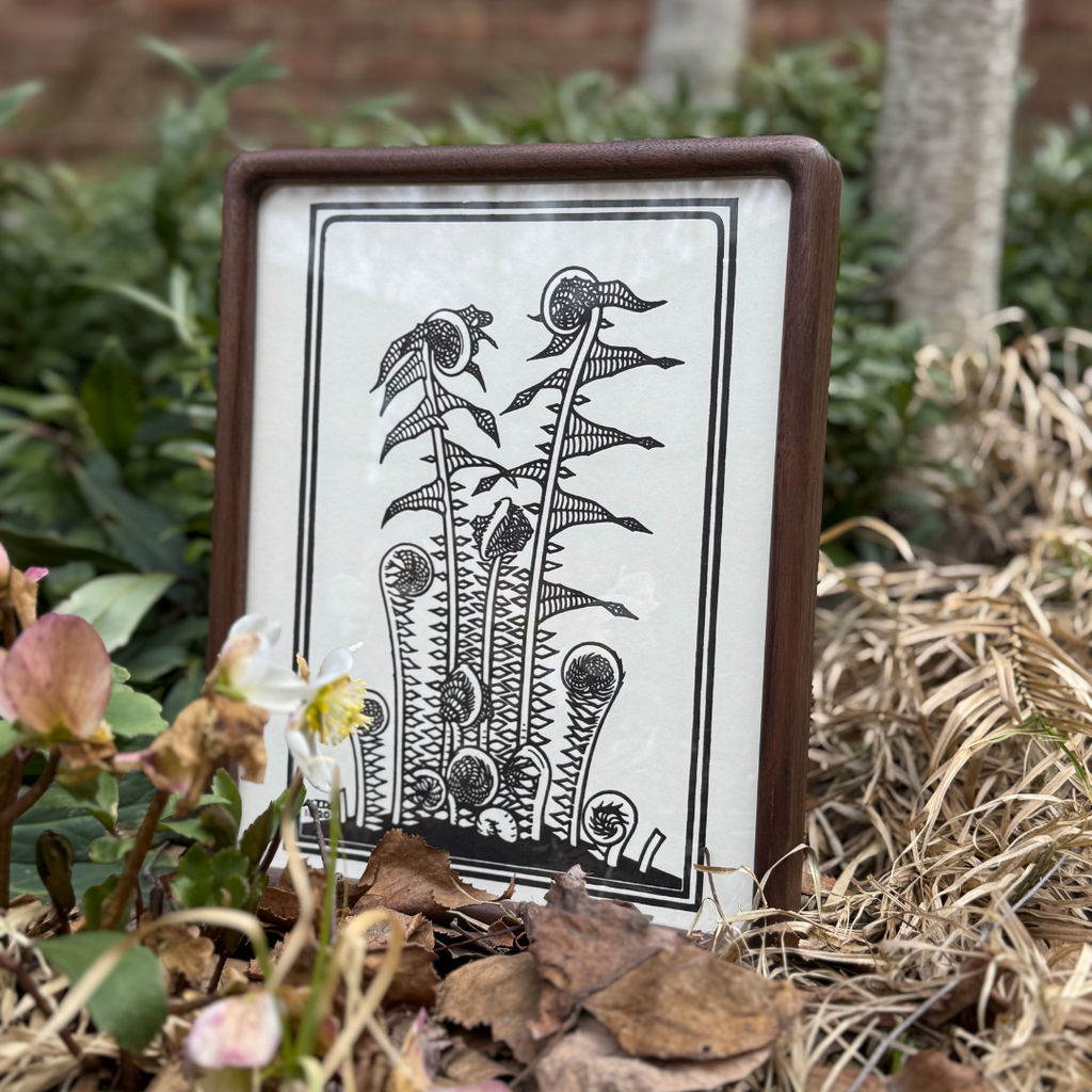 Julie de Graag's Ferns | 20x200