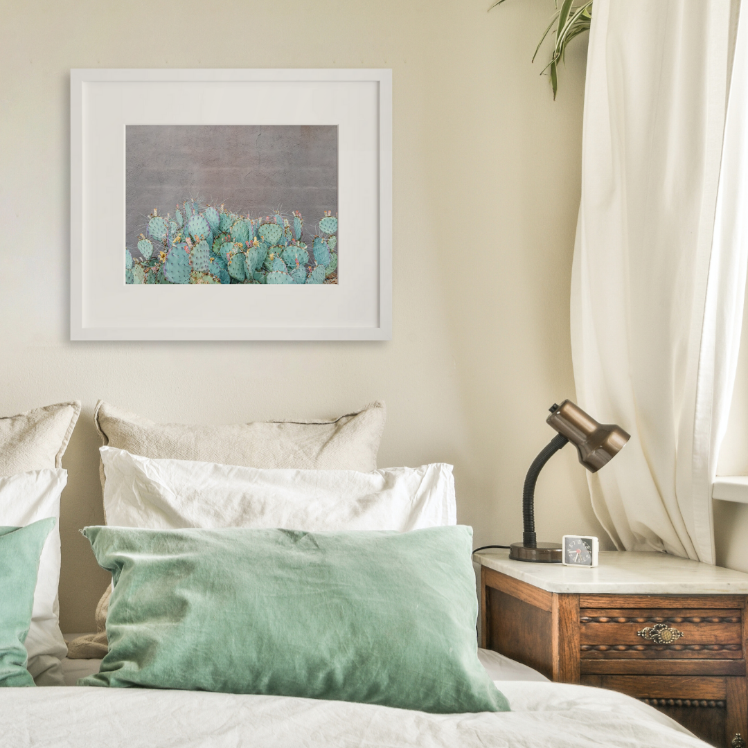 Opuntia in a white frame on a wall