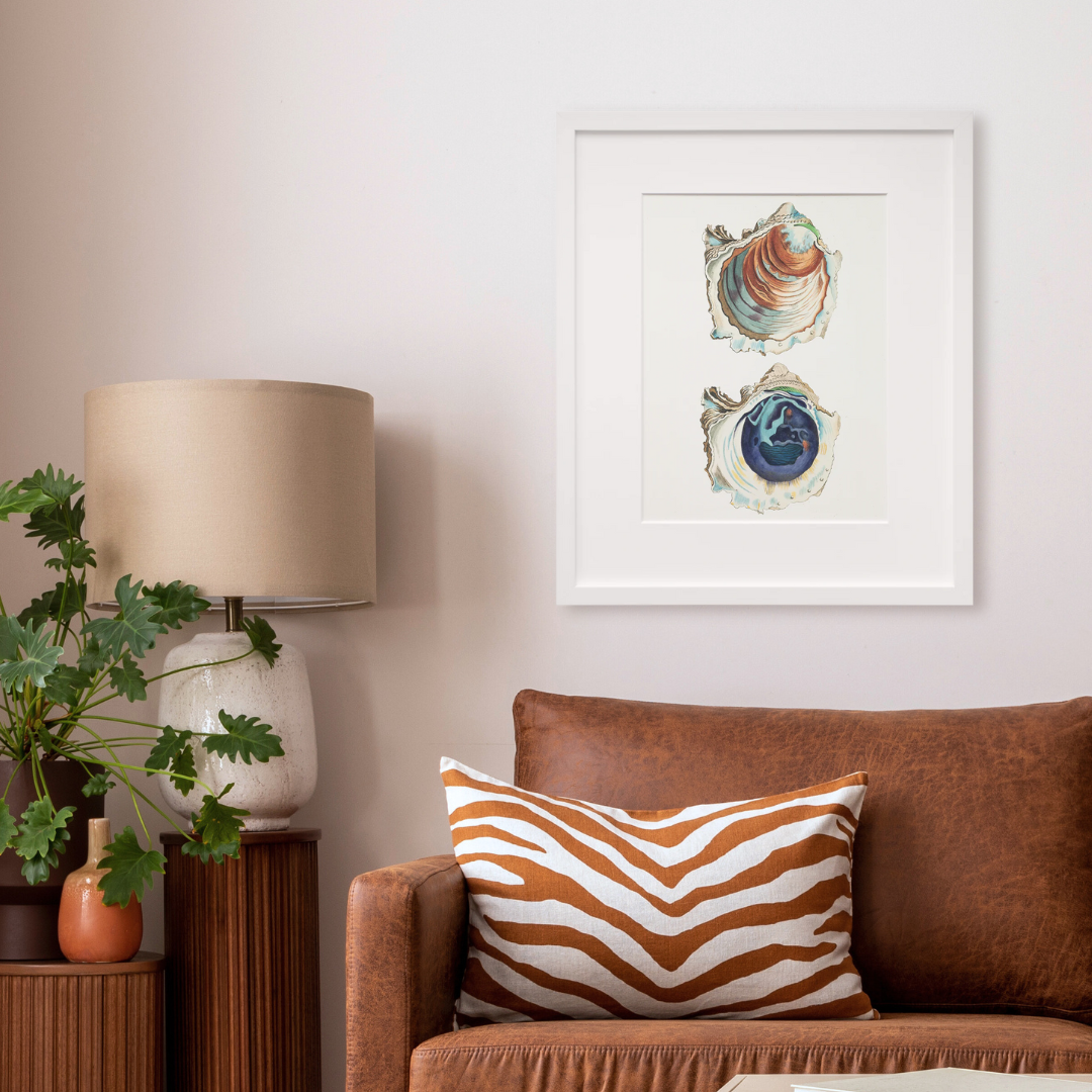 Oyster in a white frame on a wall