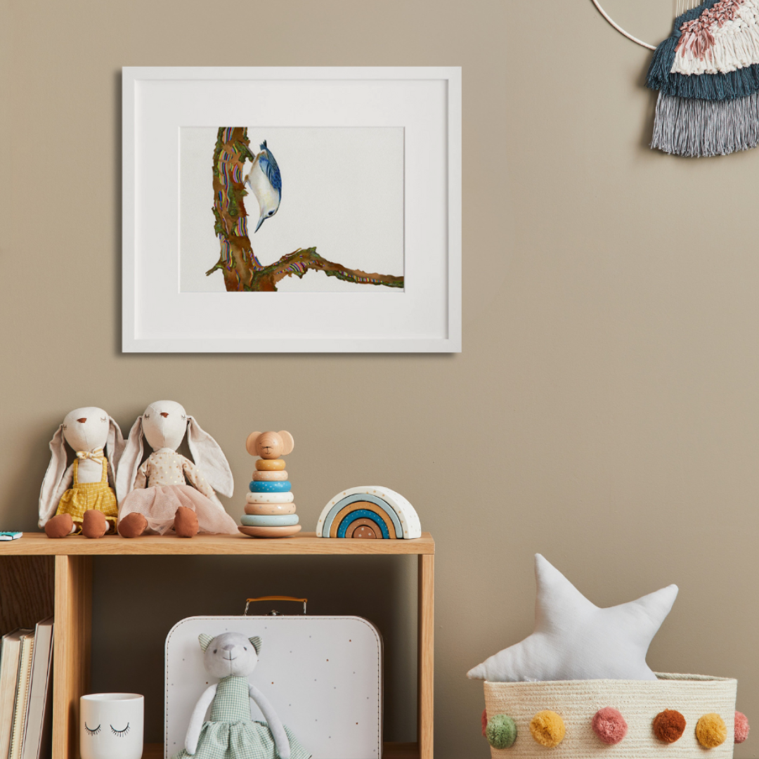 White Breasted Nut Hatch in a white frame on a wall