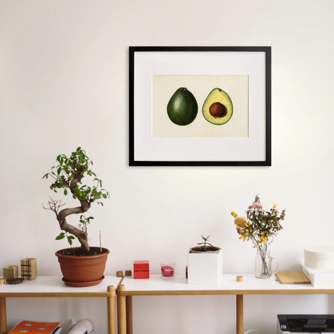 Persea: Blakeman in a black frame on a wall
