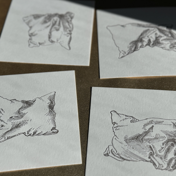 Single Pillow Studies Letterpress