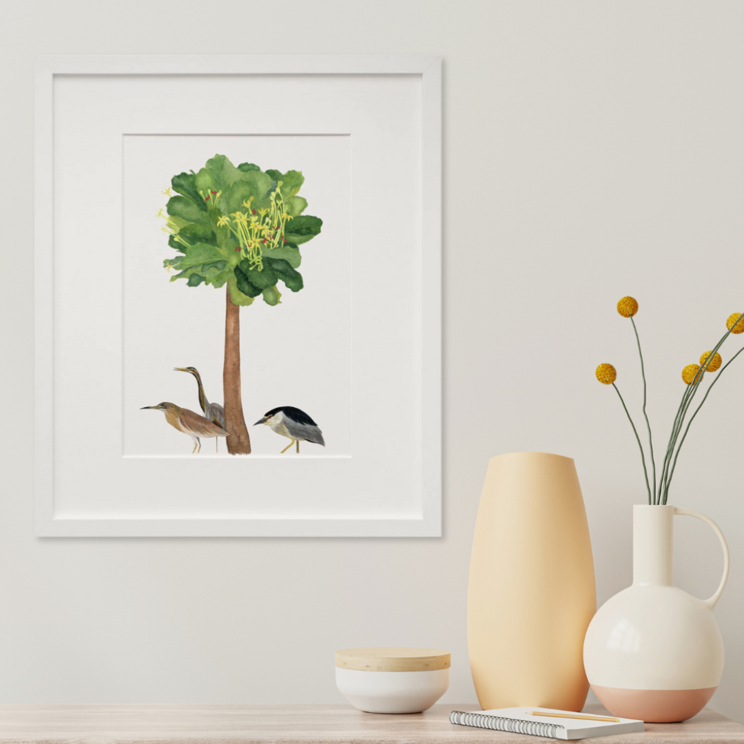 Newfoundland 1 in a white frame on a wall