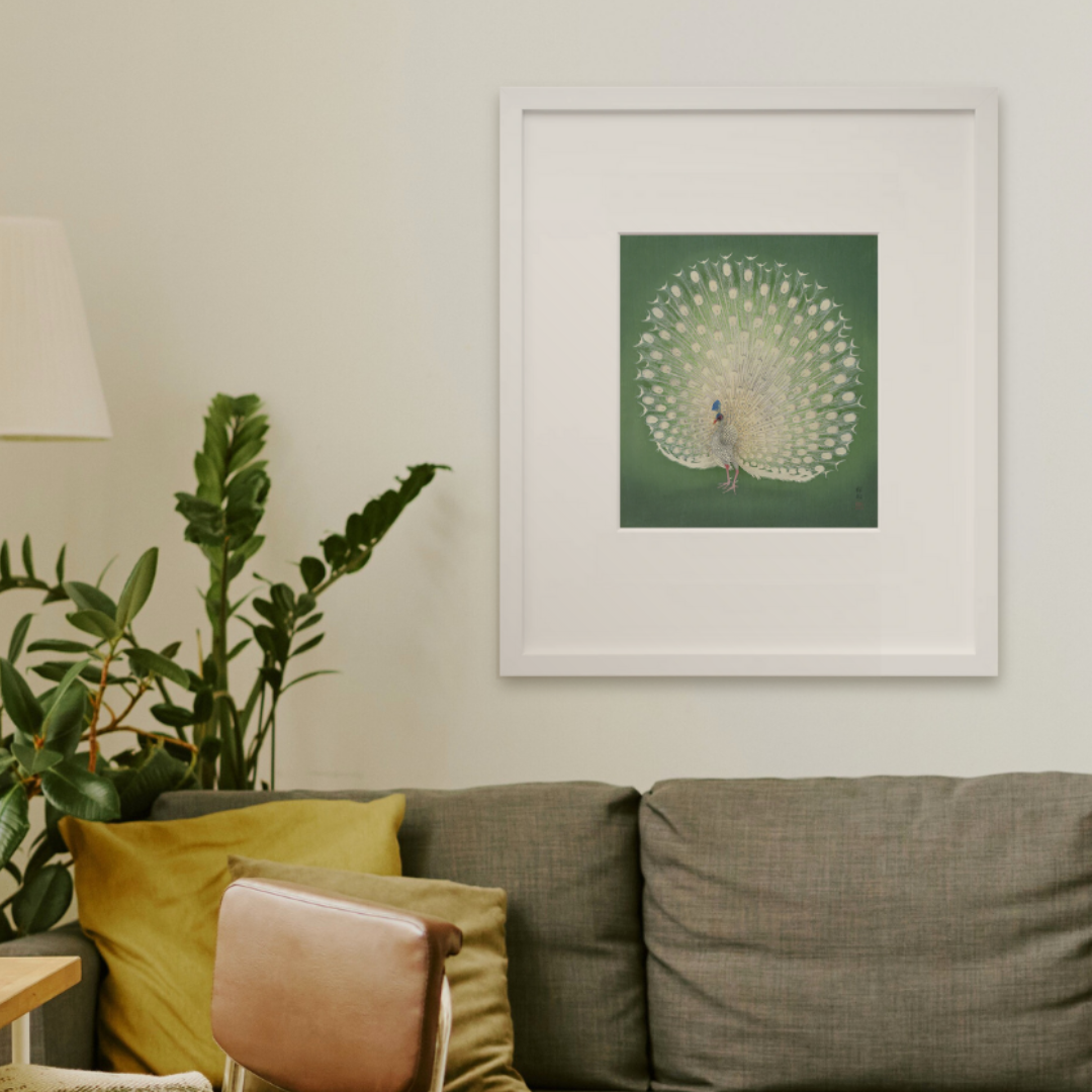 Peacock in a white frame on a wall
