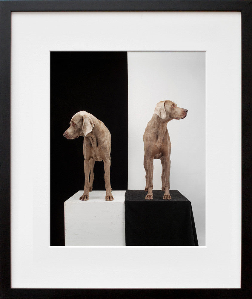 Game Board in a black frame