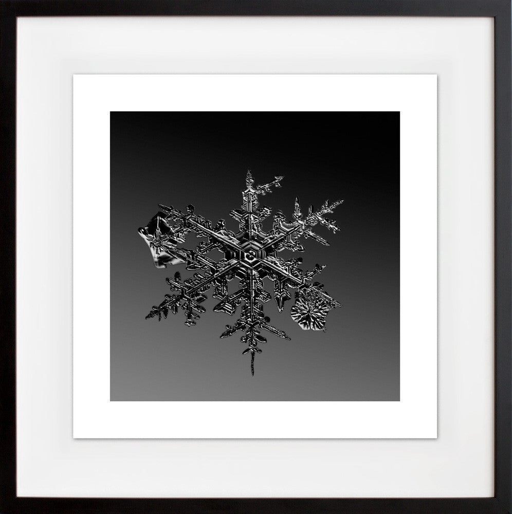 alleverythingthatisyou sno7_077 in a black frame