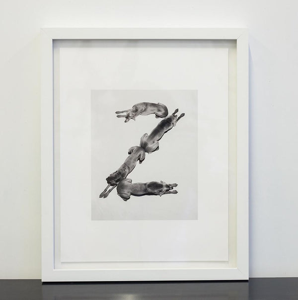 Letters: Complete Alphabet