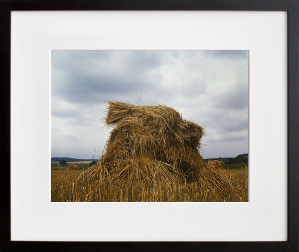 Wheat, Pennsylvania