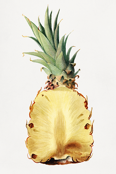 Pineapple