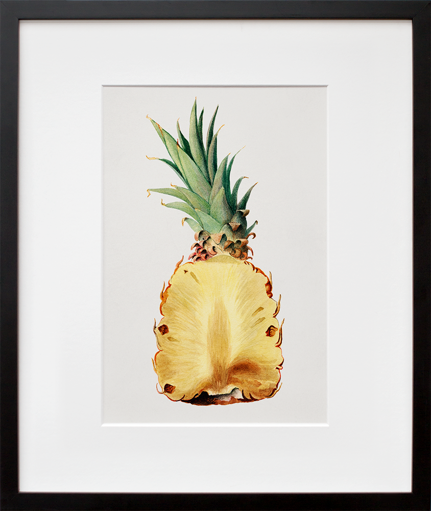 Pineapple in a black frame