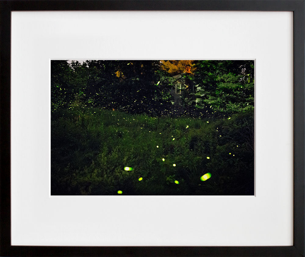 Montgomery St, 2225-2303, Tivoli, NY in a black frame