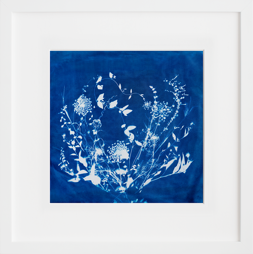 Bi-coastal in a white frame