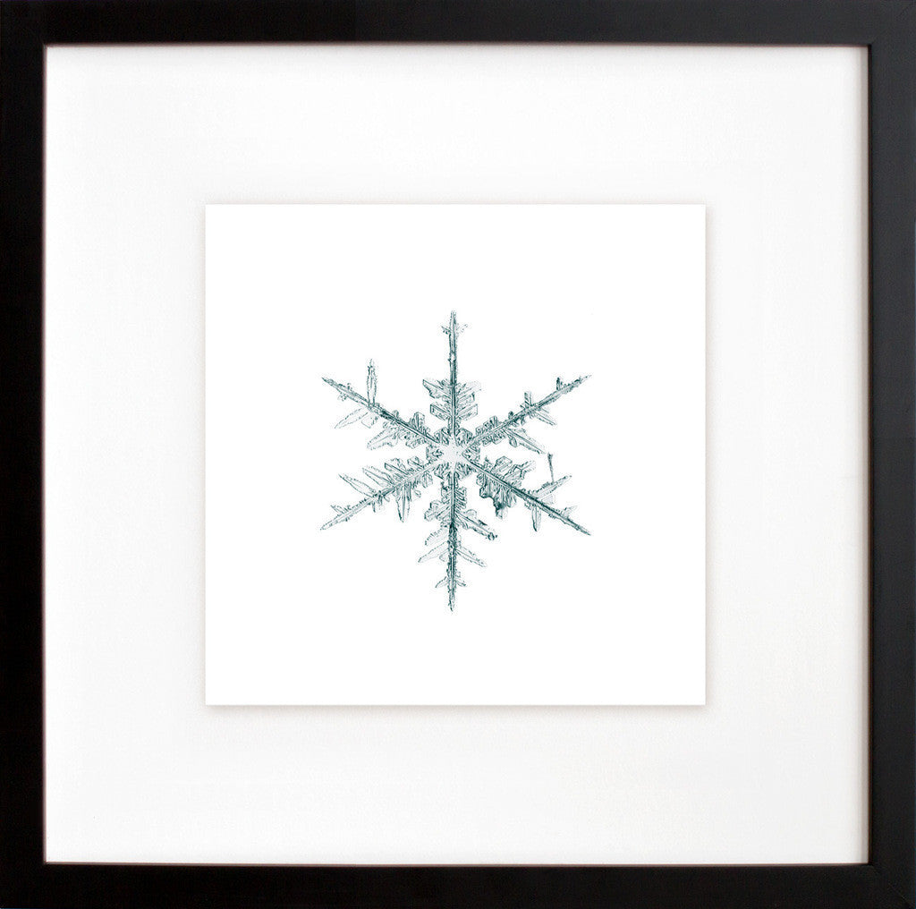alleverythingthatisyou sno8_231 in a black frame