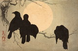 Crows in the Moonlight