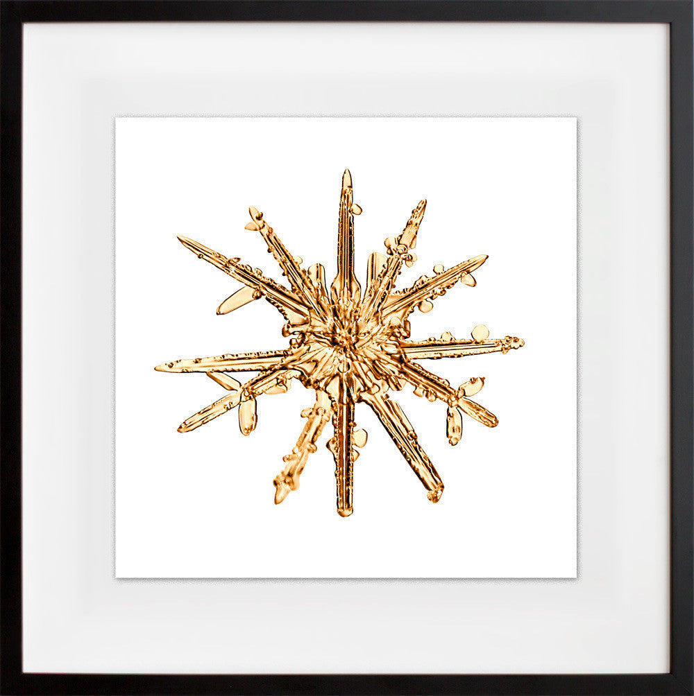 alleverythingthatisyou sno7,1_016 in a black frame