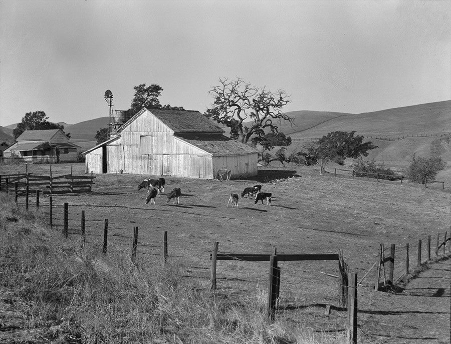 Small Farm of California, Contra Costa County