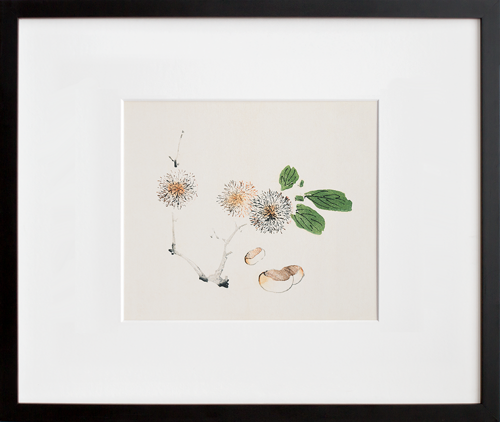 Page from Shi Zhu Zhai (Chestnuts) in a black frame