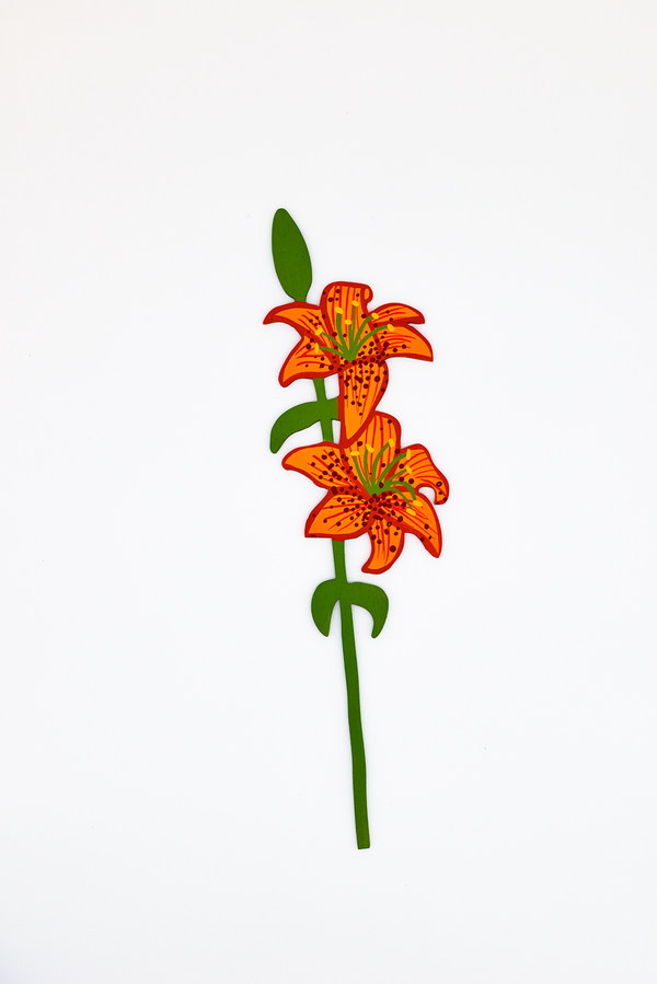 Forever Flower: Asiatic Lily