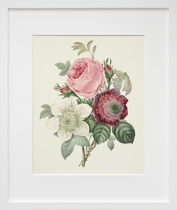 Load image into Gallery viewer, Rose, Anemone, Clematide (Final Sale)
