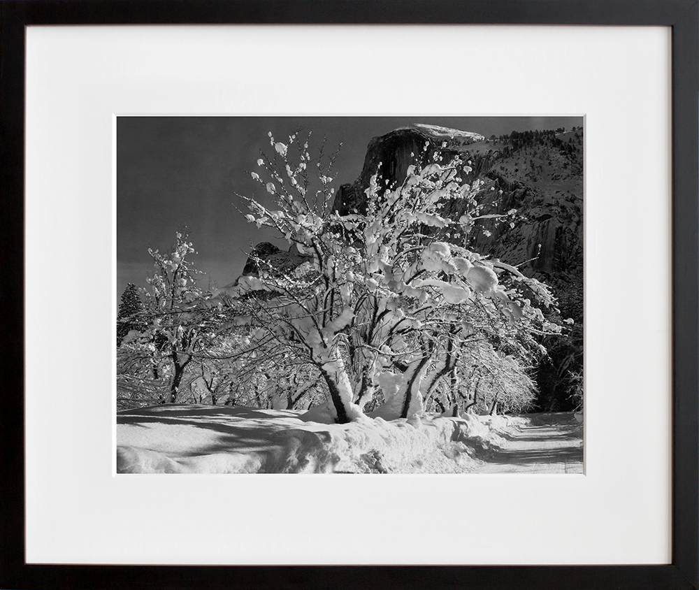 Half Dome, Apple Orchard, Yosemite in a black frame