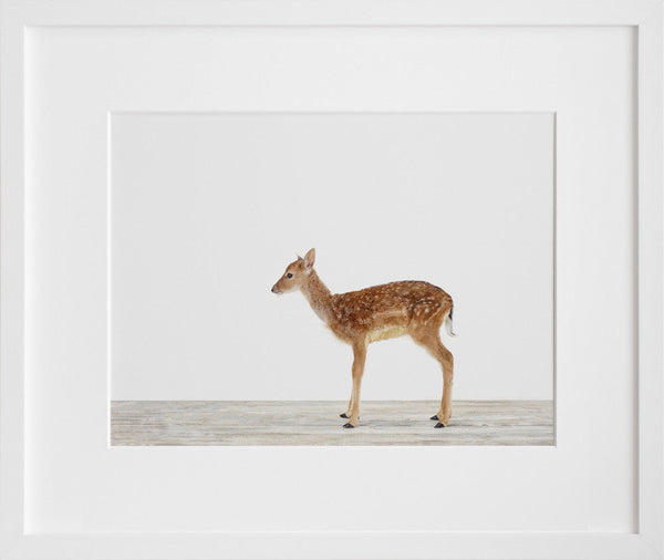 Baby Deer No. 2