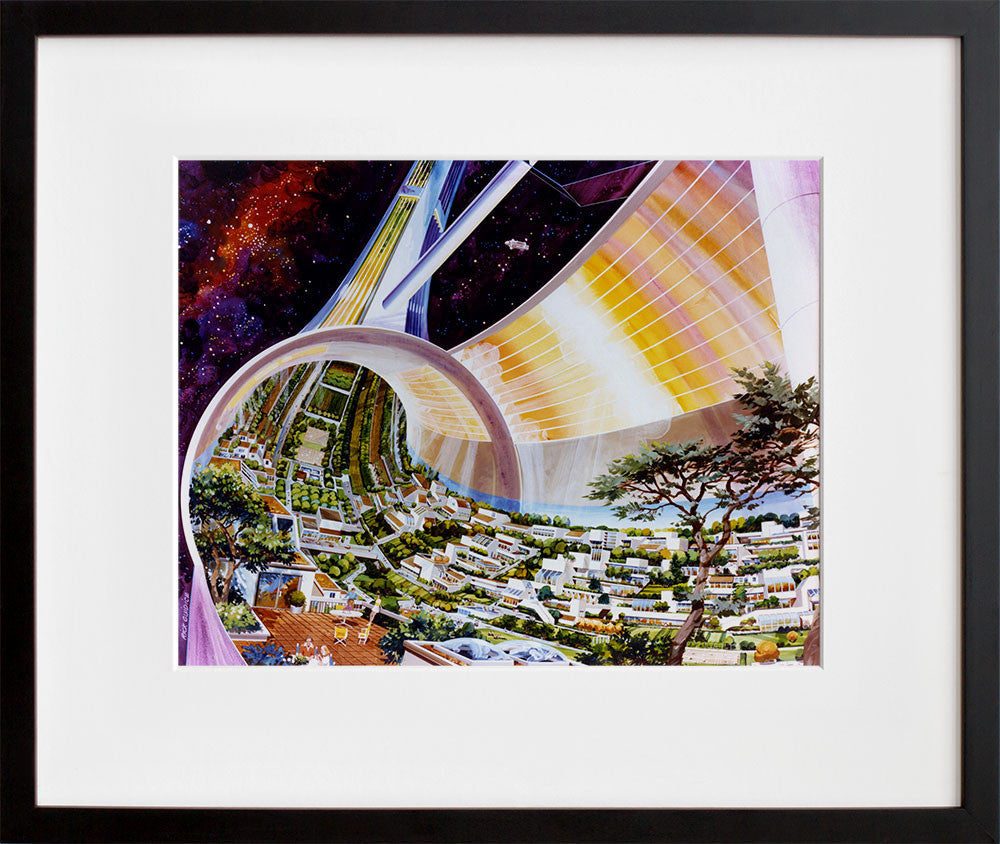 Torus Cutaway AC75-1086-1 5725 in a black frame