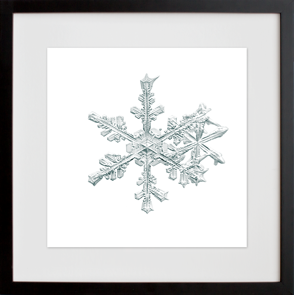 alleverythingthatisyou sno6_005.1 in a black frame