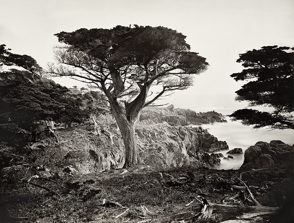 Cypress Point, Monterey
