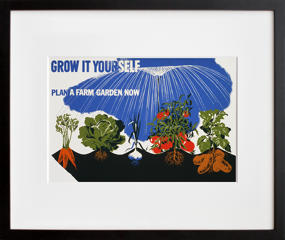 Grow it yourself in a black frame
