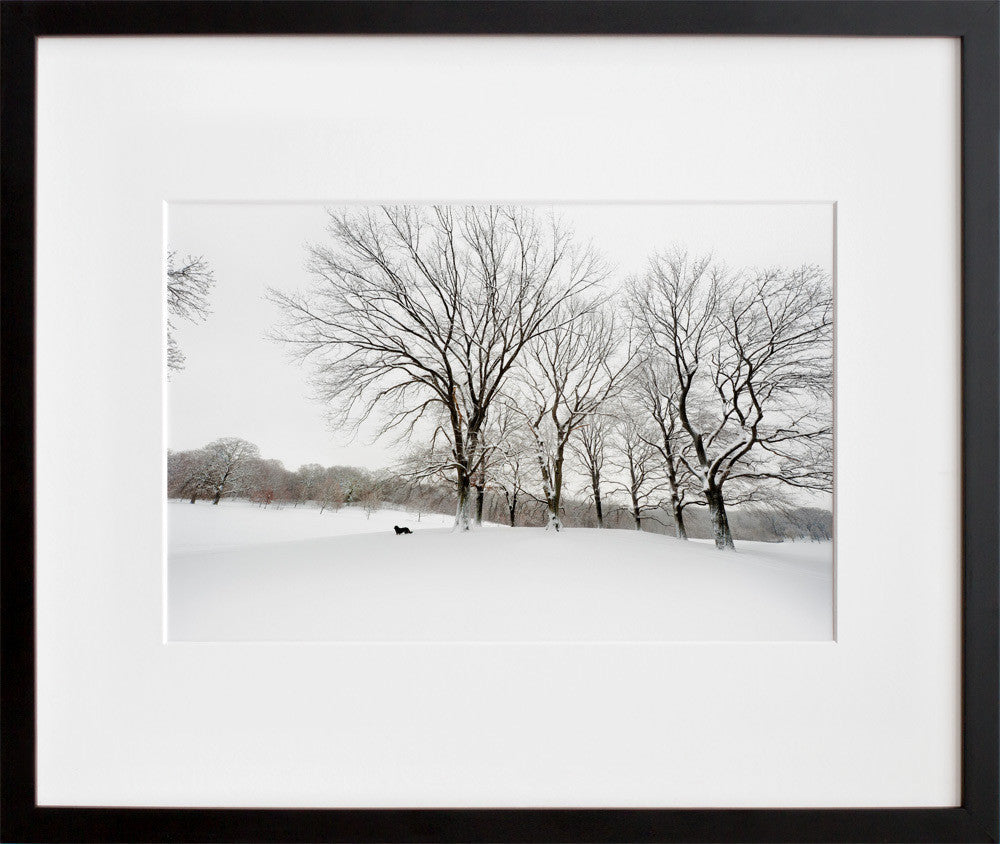 The White Oaks in a black frame