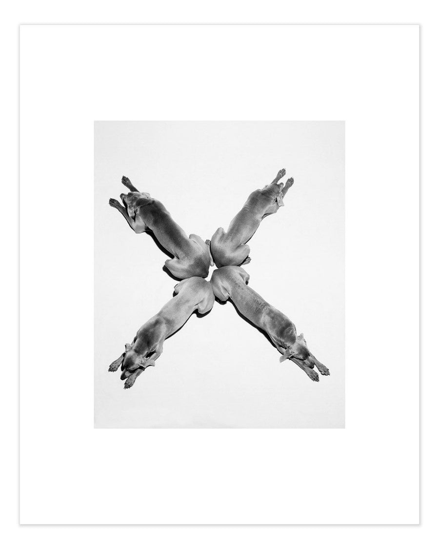 William Wegman's Letters X