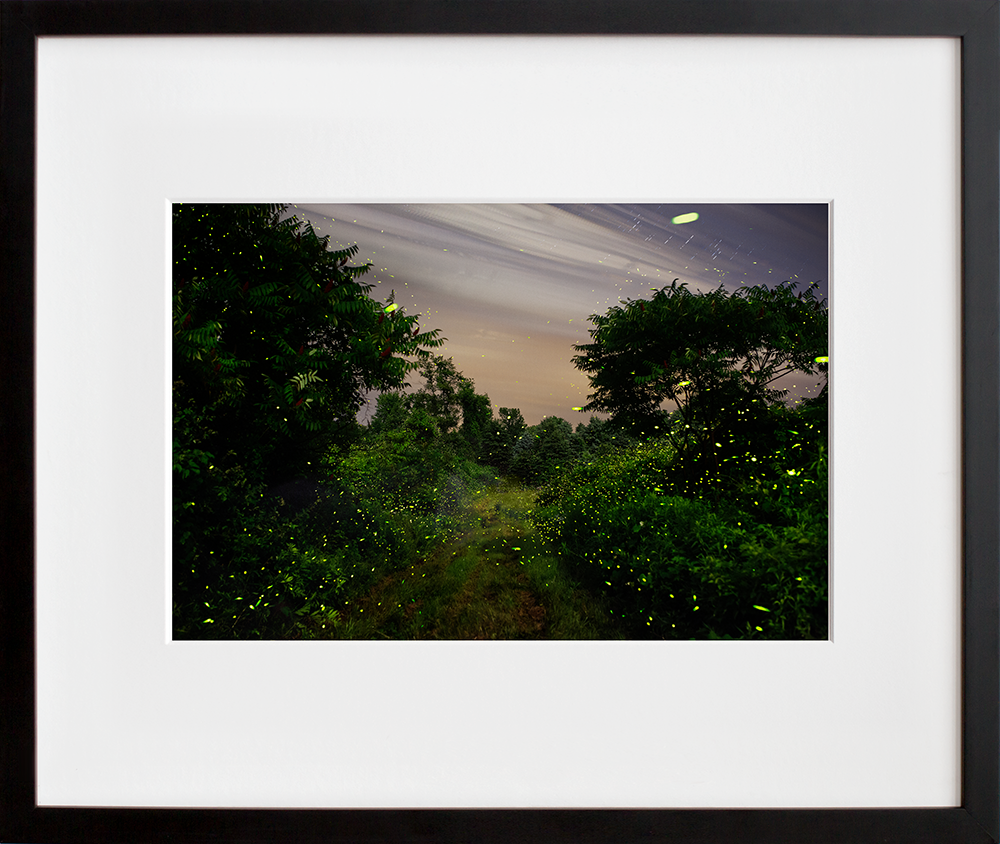 Fireflies under the full moon along the White Clay Kill, Tivoli, NY 7/9/14 in a black frame