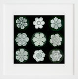 Snow Crystals