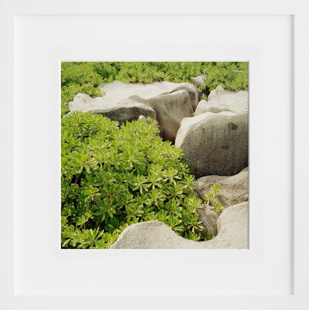 Sans Titre 21 in a white frame
