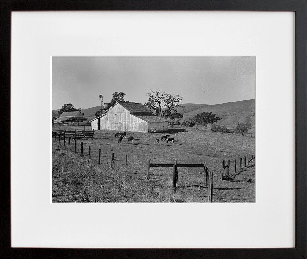 Small Farm of California, Contra Costa County in a black frame