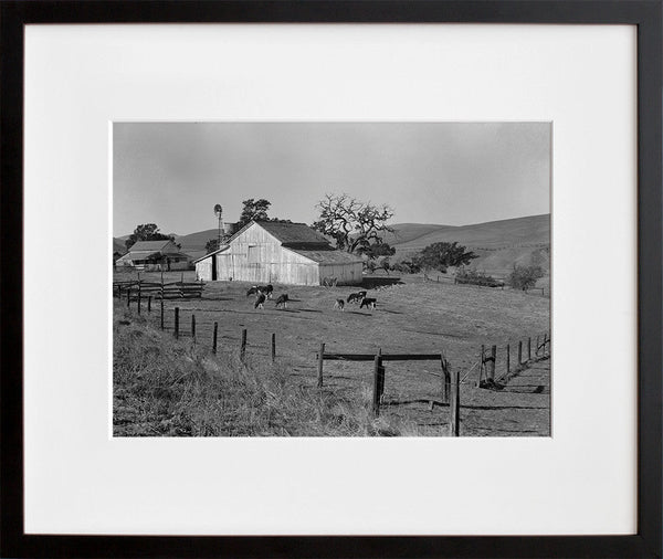 Load image into Gallery viewer, Small Farm of California, Contra Costa County
