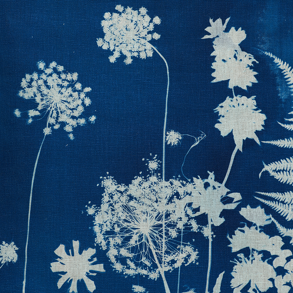 Load image into Gallery viewer, Cyanotype Wall Hanging
