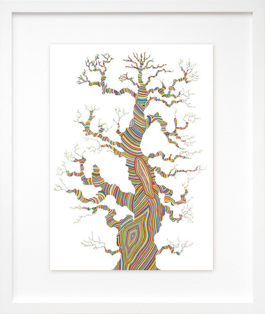 Growth in a white frame