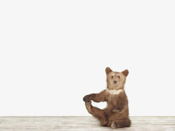 Bear Cub No. 3