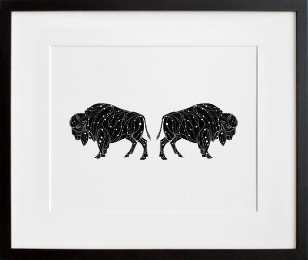 The Bison Constellation