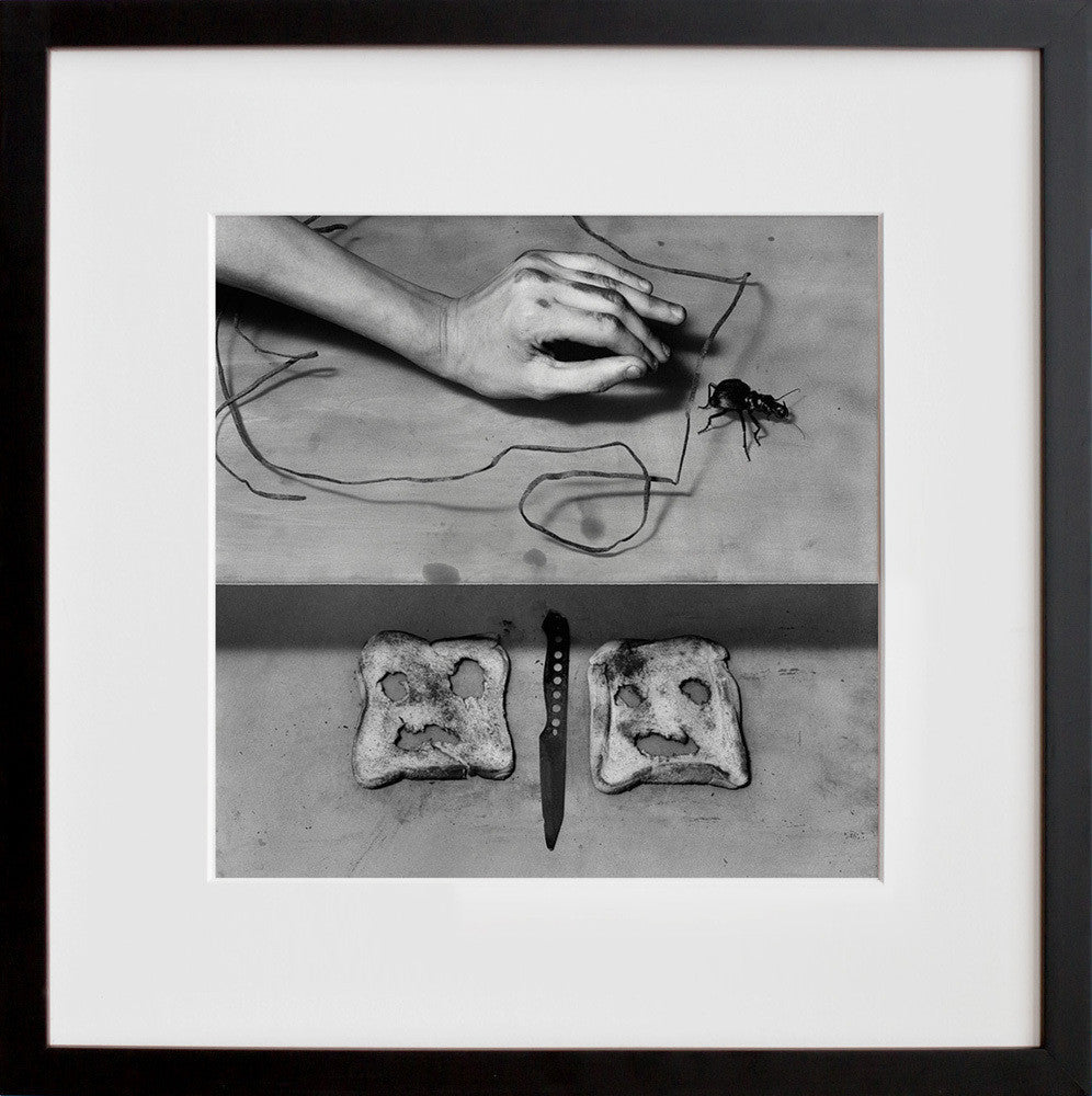 Culprit in a black frame