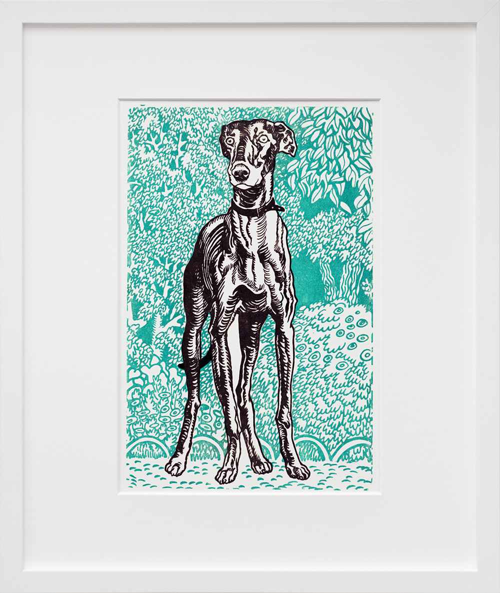 Greyhound in a white frame