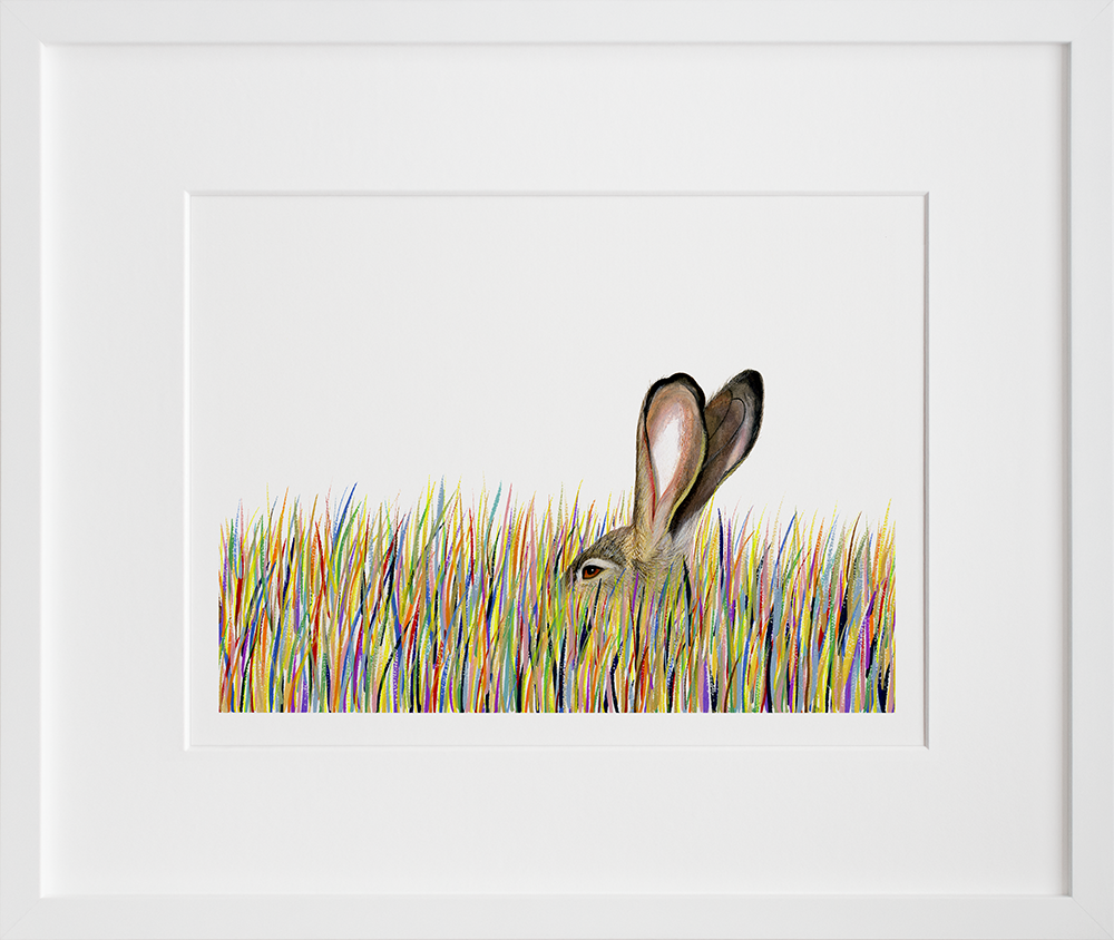 Lagomorph in a white frame